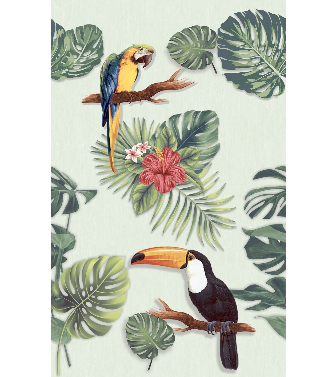 Platinum Bonita Decor F4 25x40